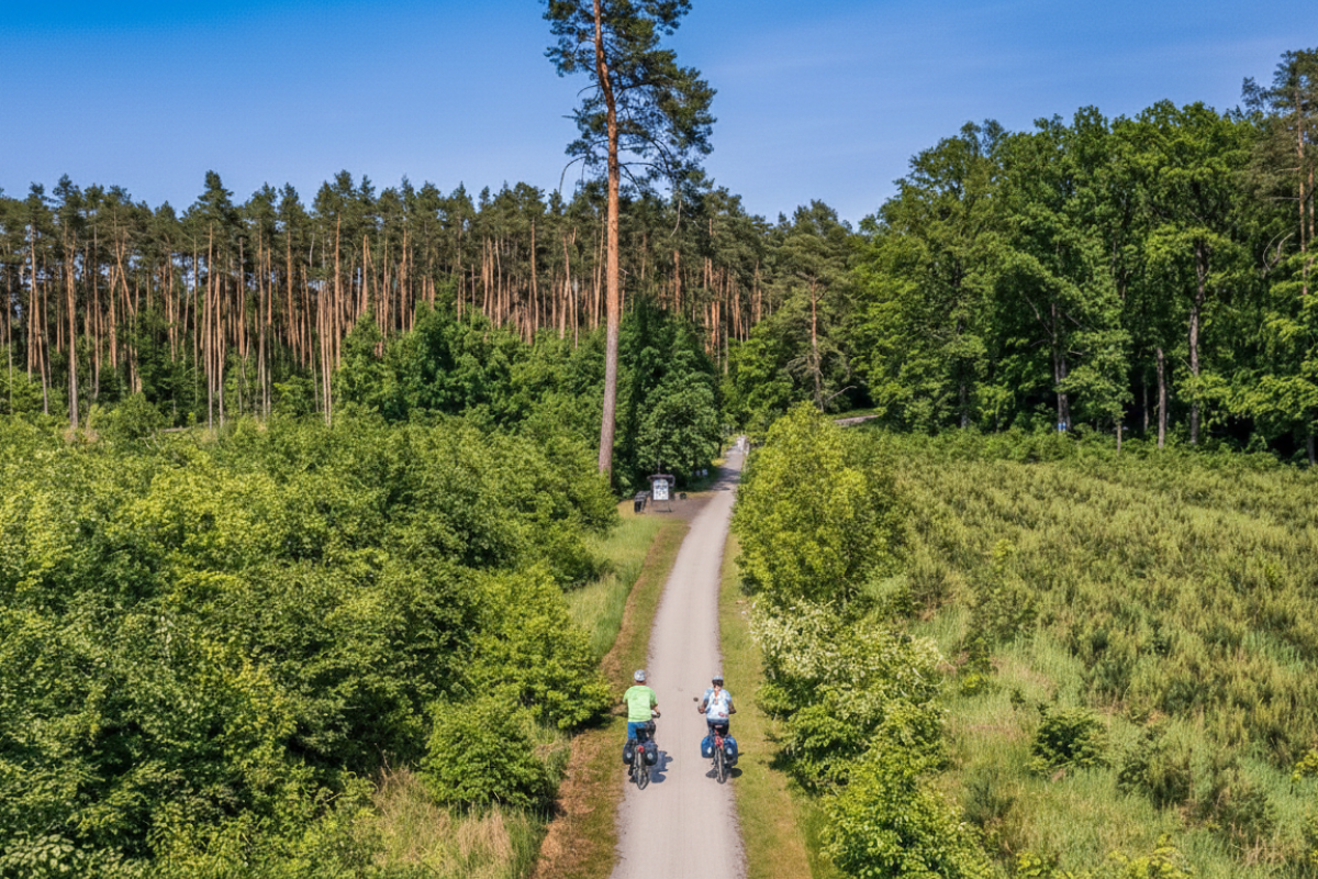 Top 5 tras rowerowych w Polsce na ENGWE – Gdzie wyjechać? Top 5 tras rowerowych w Polsce na ENGWE – Gdzie wyjechać?