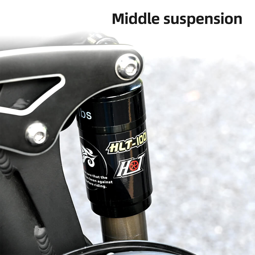 Rower elektryczny Engwe Engine X - obrazek 21