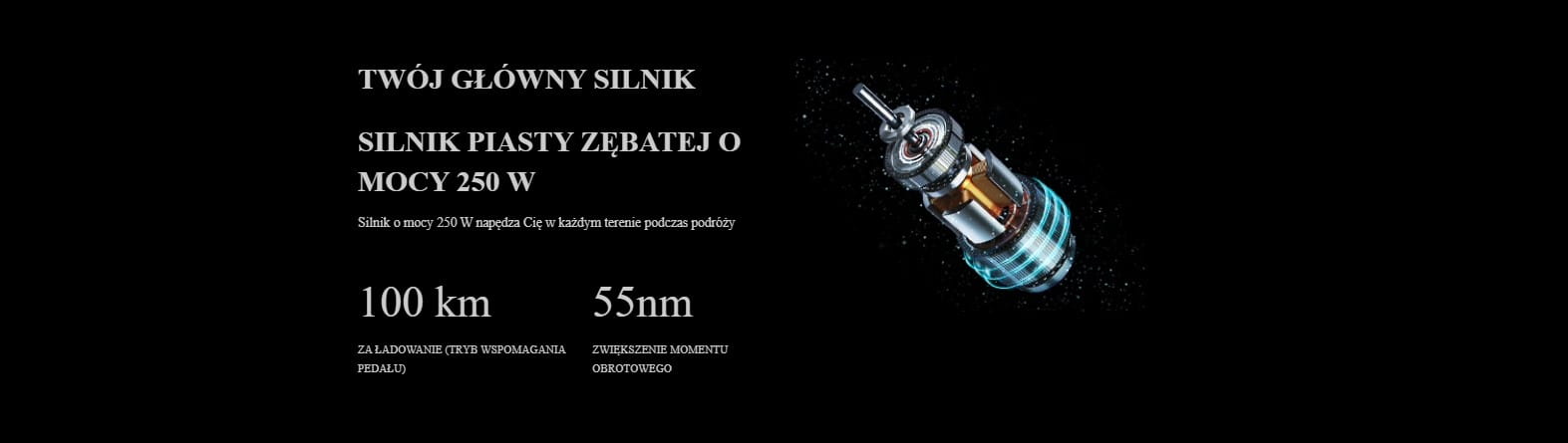 Rower elektryczny Engwe Engine X - obrazek 13